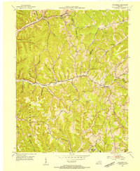 Download a high-resolution, GPS-compatible USGS topo map for Haldeman, KY (1954 edition)