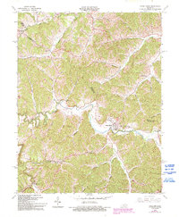 Download a high-resolution, GPS-compatible USGS topo map for Hazel Green, KY (1993 edition)