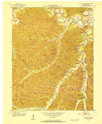 preview thumbnail of historical topo map of Lewis County, KY in 1950