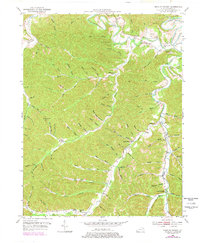 preview thumbnail of historical topo map of Lewis County, KY in 1950