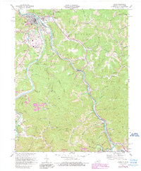 Download a high-resolution, GPS-compatible USGS topo map for Louisa, KY (1989 edition)