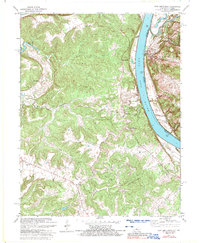 Download a high-resolution, GPS-compatible USGS topo map for New Amsterdam, KY (1989 edition)