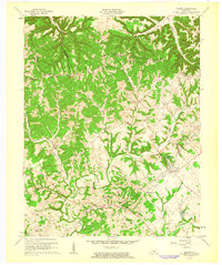 preview thumbnail of historical topo map of Taylor County, KY in 1961
