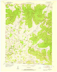 Download a high-resolution, GPS-compatible USGS topo map for Savage, KY (1955 edition)