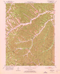 preview thumbnail of historical topo map of Lewis County, KY in 1951
