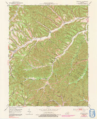 preview thumbnail of historical topo map of Lewis County, KY in 1951