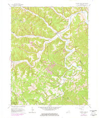 Download a high-resolution, GPS-compatible USGS topo map for Tygarts Valley, KY (1978 edition)