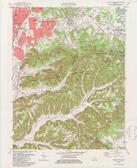 Download a high-resolution, GPS-compatible USGS topo map for Valley%20Station, KY (1984 edition)