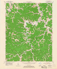 Download a high-resolution, GPS-compatible USGS topo map for Willard, KY (1967 edition)