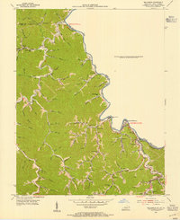 Download a high-resolution, GPS-compatible USGS topo map for Williamson, KY (1955 edition)