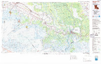 preview thumbnail of historical topo map of Morgan City, LA in 1983
