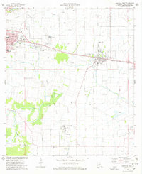 preview thumbnail of historical topo map of Vermilion County, LA in 1975
