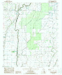 preview thumbnail of historical topo map of East Carroll County, LA in 1988