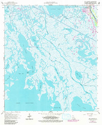 Download a high-resolution, GPS-compatible USGS topo map for Bay Courant, LA (1980 edition)