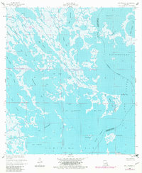 Download a high-resolution, GPS-compatible USGS topo map for Bay Tambour, LA (1980 edition)