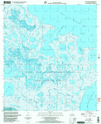 Download a high-resolution, GPS-compatible USGS topo map for Bayou Blanc, LA (2003 edition)