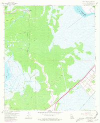 Download a high-resolution, GPS-compatible USGS topo map for Bayou Boeuf, LA (1981 edition)