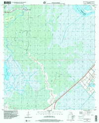 Download a high-resolution, GPS-compatible USGS topo map for Bayou Boeuf, LA (2000 edition)