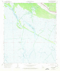 Download a high-resolution, GPS-compatible USGS topo map for Bayou Cocodrie, LA (1975 edition)