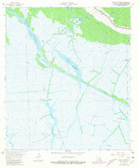 Download a high-resolution, GPS-compatible USGS topo map for Bayou Cocodrie, LA (1981 edition)