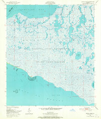 Download a high-resolution, GPS-compatible USGS topo map for Bayou Lucien, LA (1965 edition)