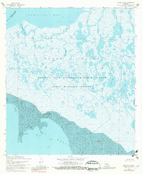 preview thumbnail of historical topo map of Iberia County, LA in 1968