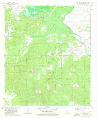 Download a high-resolution, GPS-compatible USGS topo map for Bayou Pierre Lake, LA (1980 edition)