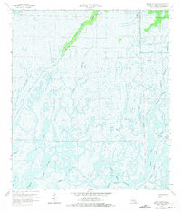 Download a high-resolution, GPS-compatible USGS topo map for Bayou Sauveur, LA (1975 edition)