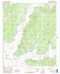 preview thumbnail of historical topo map of Sabine County, LA in 1984