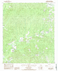 Download a high-resolution, GPS-compatible USGS topo map for Belmont, LA (1988 edition)