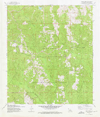 preview thumbnail of historical topo map of Vernon County, LA in 1974