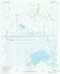 Download a high-resolution, GPS-compatible USGS topo map for Black Lake, LA (1955 edition)