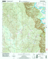 Download a high-resolution, GPS-compatible USGS topo map for Blankston, LA (2004 edition)