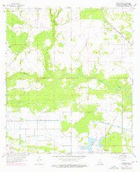 Download a high-resolution, GPS-compatible USGS topo map for Brimstone, LA (1976 edition)