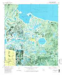 Download a high-resolution, GPS-compatible USGS topo map for Catfish Lake, LA (1980 edition)