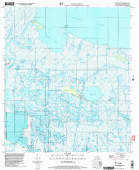 Download a high-resolution, GPS-compatible USGS topo map for Catfish Lake, LA (2003 edition)