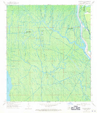 Download a high-resolution, GPS-compatible USGS topo map for Centerville NE, LA (1971 edition)