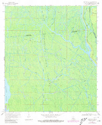 Download a high-resolution, GPS-compatible USGS topo map for Centerville NE, LA (1981 edition)