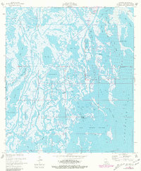 Download a high-resolution, GPS-compatible USGS topo map for Cocodrie, LA (1981 edition)