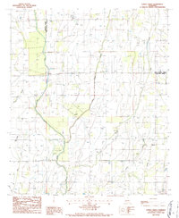 Download a high-resolution, GPS-compatible USGS topo map for Congo Creek, LA (1987 edition)
