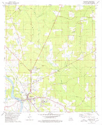 Download a high-resolution, GPS-compatible USGS topo map for Coushatta, LA (1980 edition)