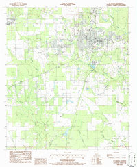 Download a high-resolution, GPS-compatible USGS topo map for De Ridder, LA (1986 edition)