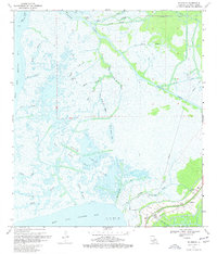 Download a high-resolution, GPS-compatible USGS topo map for Ellerslie, LA (1977 edition)