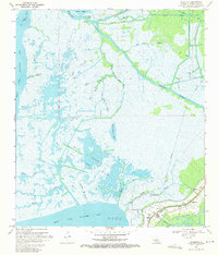 Download a high-resolution, GPS-compatible USGS topo map for Ellerslie, LA (1971 edition)