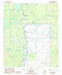 Download a high-resolution, GPS-compatible USGS topo map for Fish Lake, LA (1988 edition)