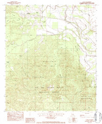Download a high-resolution, GPS-compatible USGS topo map for Flora, LA (1984 edition)