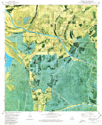 Download a high-resolution, GPS-compatible USGS topo map for Forked Island, LA (1980 edition)