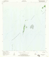 preview thumbnail of historical topo map of St. Bernard County, LA in 1951