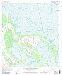 Download a high-resolution, GPS-compatible USGS topo map for Gheens, LA (1980 edition)