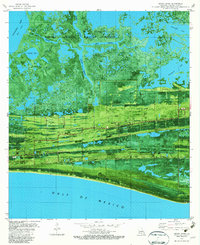 Download a high-resolution, GPS-compatible USGS topo map for Grand Bayou, LA (1982 edition)